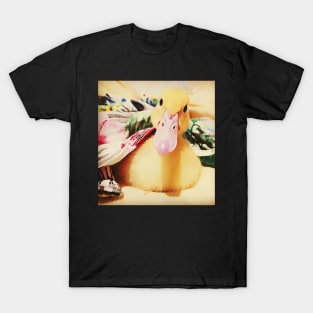 Little Baby Duckling Cinnamon T-Shirt